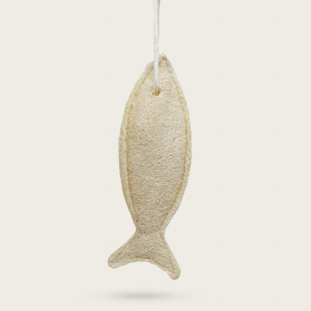 Schwamm Fisch