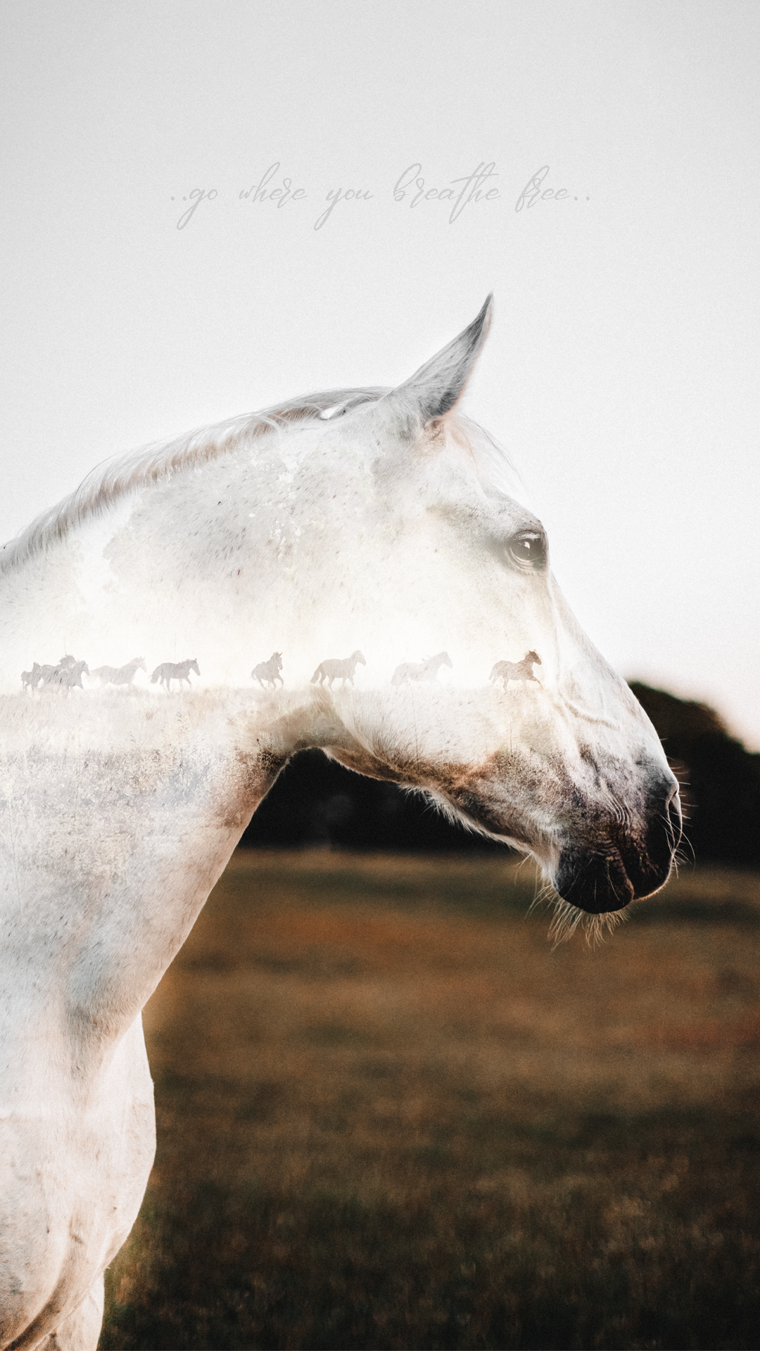 Fritze-double-exposure