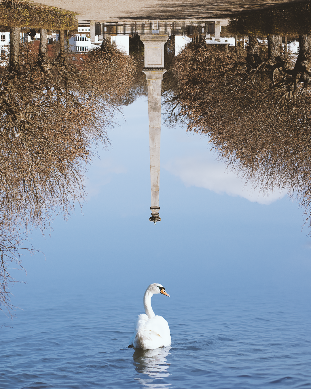 Schwan-Putbus