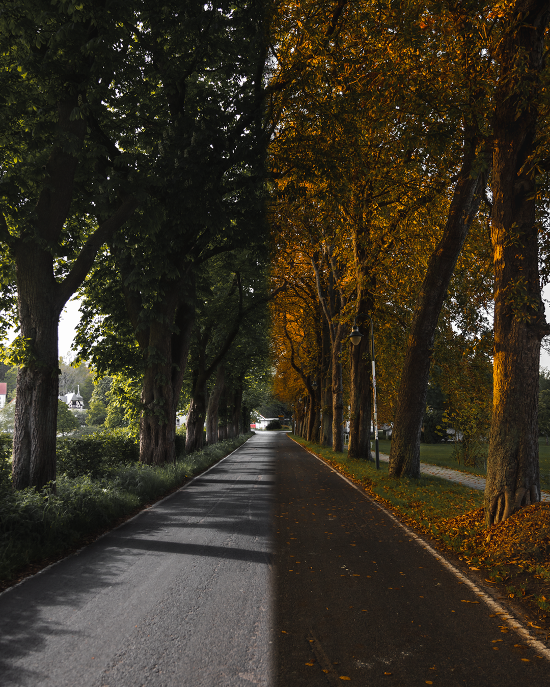 Sommer---Herbst-1