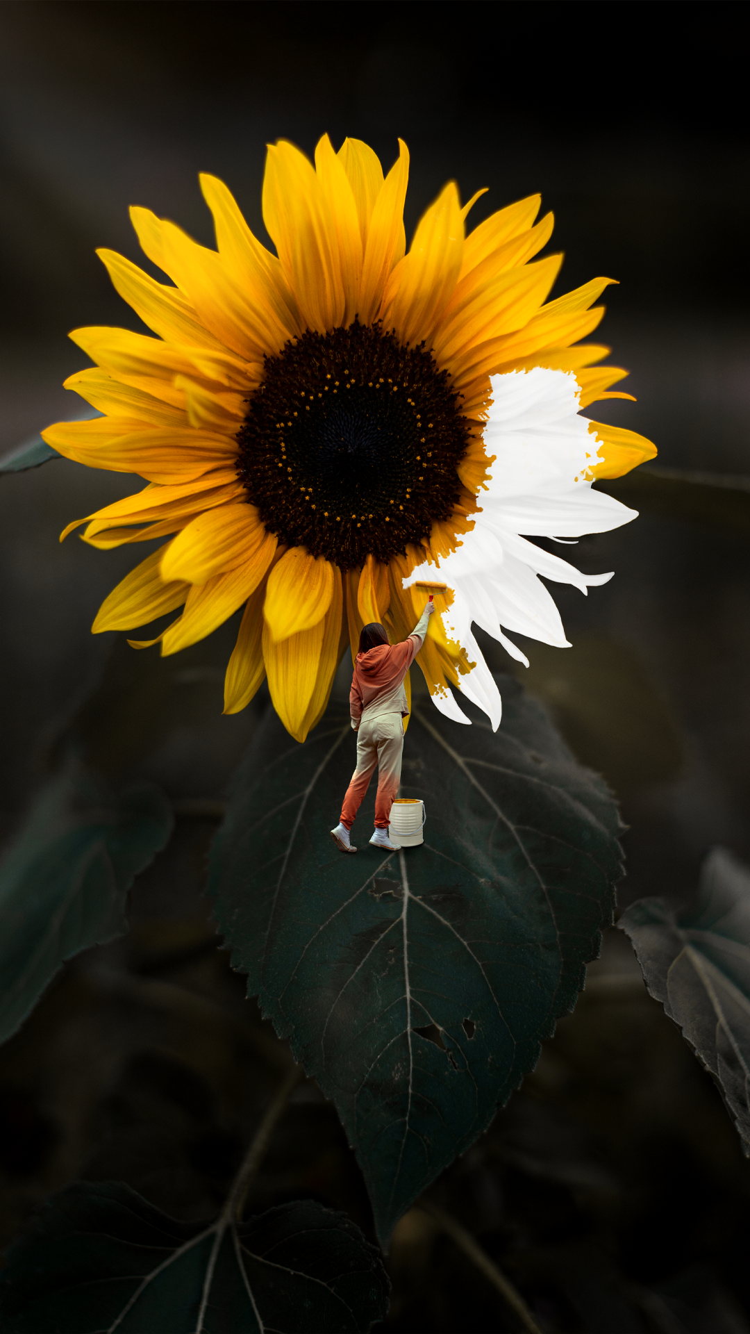 Sonnenblume-malen-2023