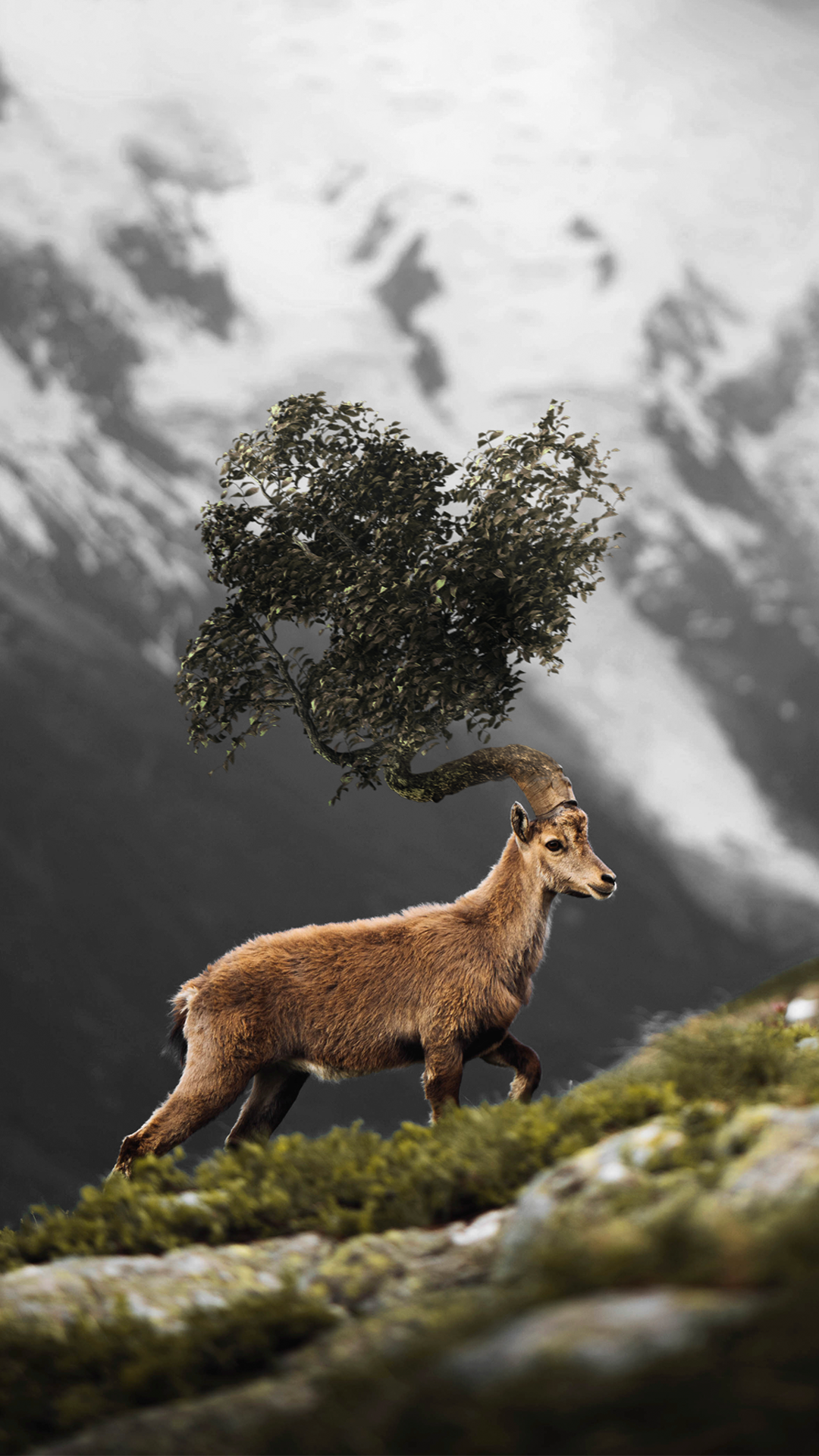 Ziege-Baum